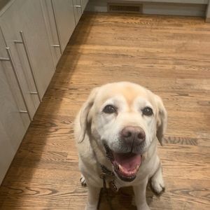 Meet your Posher, Patrick